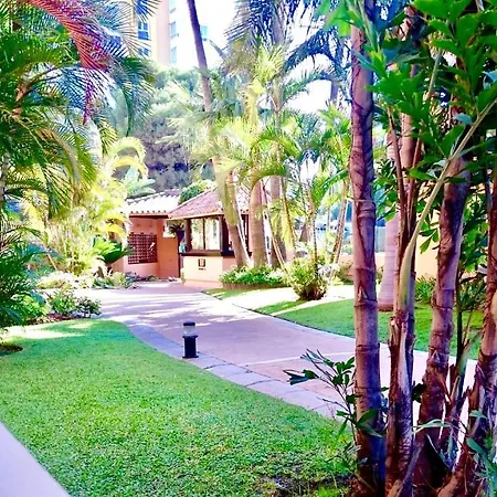 - Alicate Beachfront Apartment-9 Apartmán *