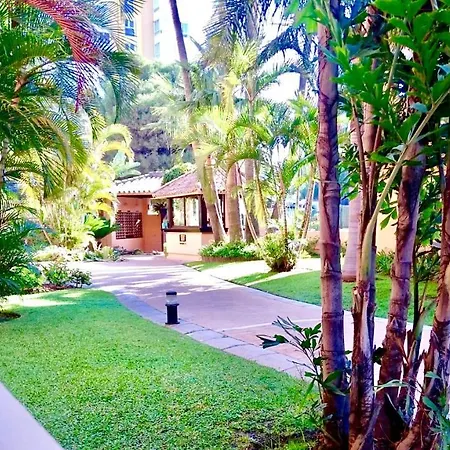 - Alicate Beachfront Apartment-9 Apartment *