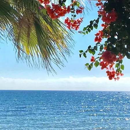 Lejlighed - Alicate Beachfront Apartment-9 *