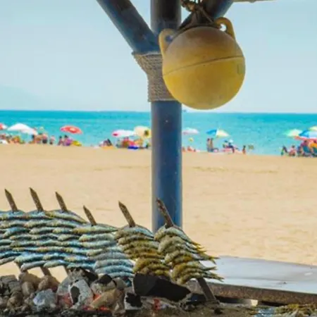 - Alicate Beachfront Apartment-9 Apartment Marbella