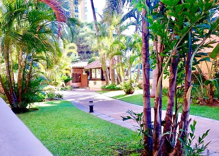 - Alicate Beachfront Apartment-9 Apartment *