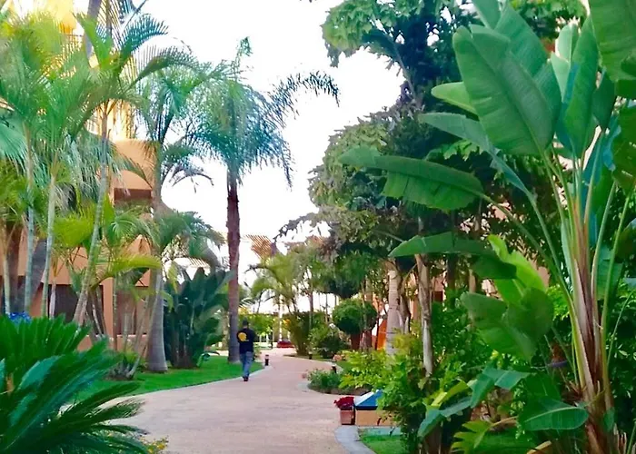 - Alicate Beachfront Apartment-9 Apartment Marbella